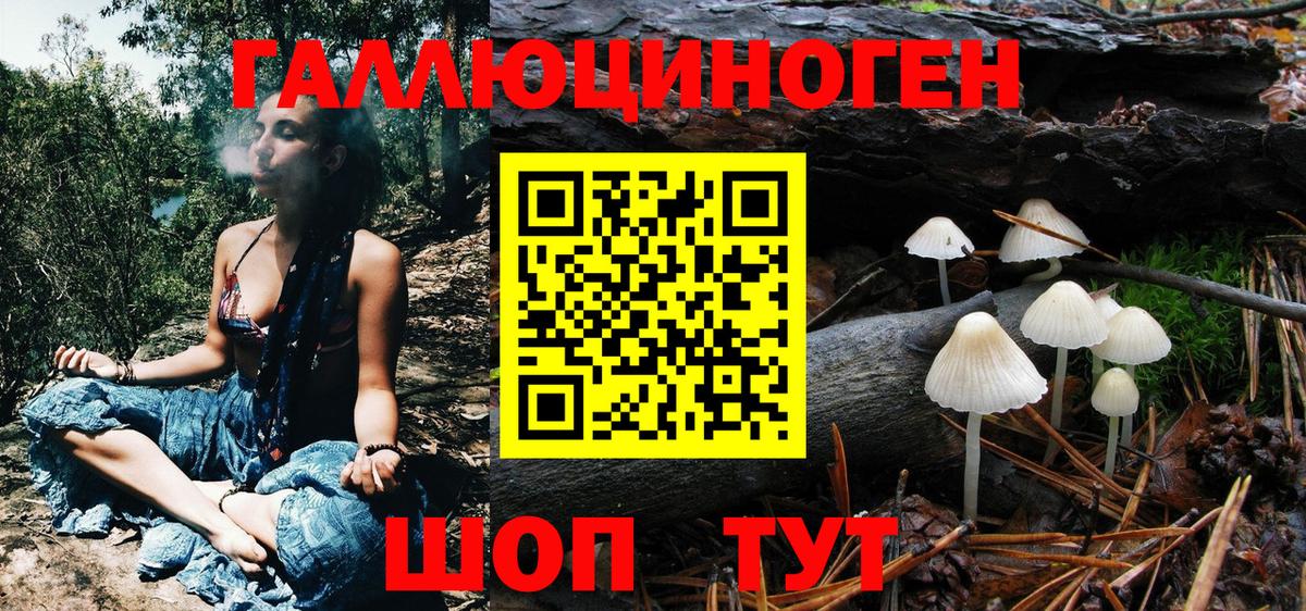 Псилоцибиновые грибы ЛСД  Вход с VPN  Юрга  Галлюциногенные грибы GOLDEN TEACHER 