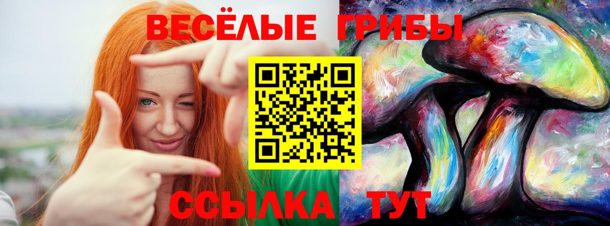 Галлюциногенные грибы мицелий Юрга